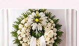 Hoa chia buồn